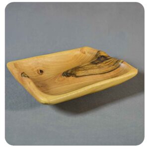 DSC06166 ظرف روستیک تمیرو