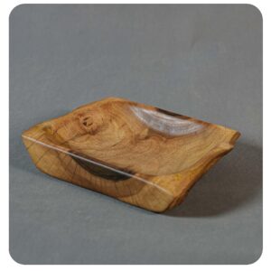 ظرف روستیک راس