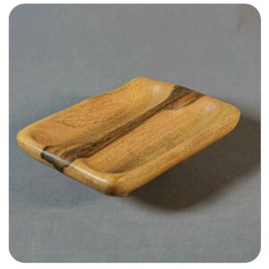 کم حجم 1 ظرف روستیک ابیپا