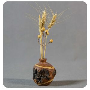 گلدان تنه پوستی پینی