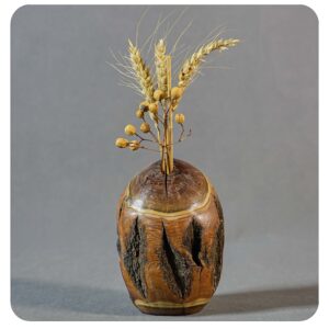 گلدان پوستی خمره