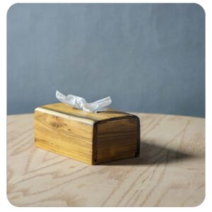 جا دستمال کاغذی نچرال