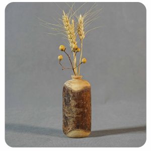 گلدان پوستی زیتون