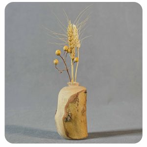 گلدان پوستی چنار