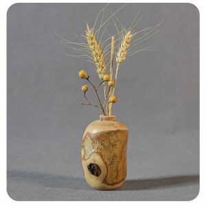 گلدان پوستی چنار